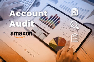 account audit services for amazon marketplace